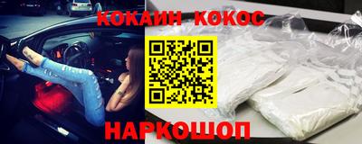 гашик Кингисепп