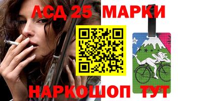 гашик Кингисепп
