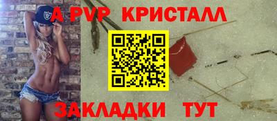 гашик Кингисепп