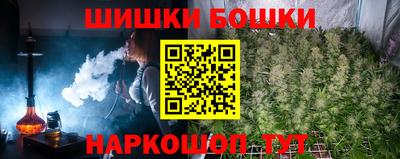 гашик Кингисепп