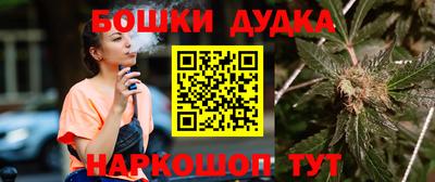гашик Кингисепп