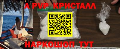 гашик Кингисепп
