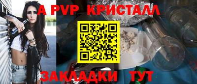 гашик Кингисепп