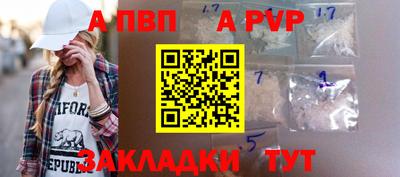 гашик Кингисепп