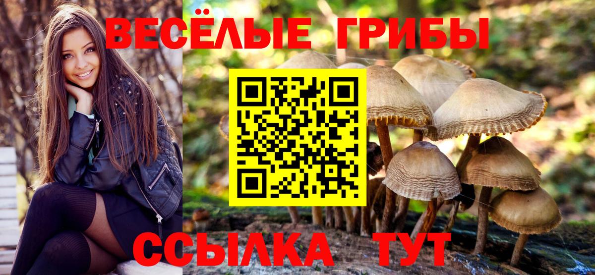 Ивантеевка  Галлюциногенные грибы мухоморы  Вход с VPN 