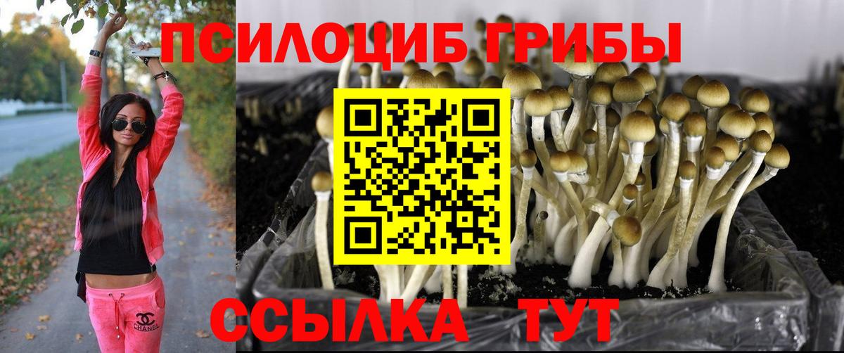 Галлюциногенные грибы GOLDEN TEACHER Ивантеевка